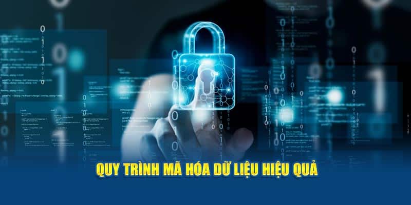Quy trình mã hóa dữ liệu hiệu quả
